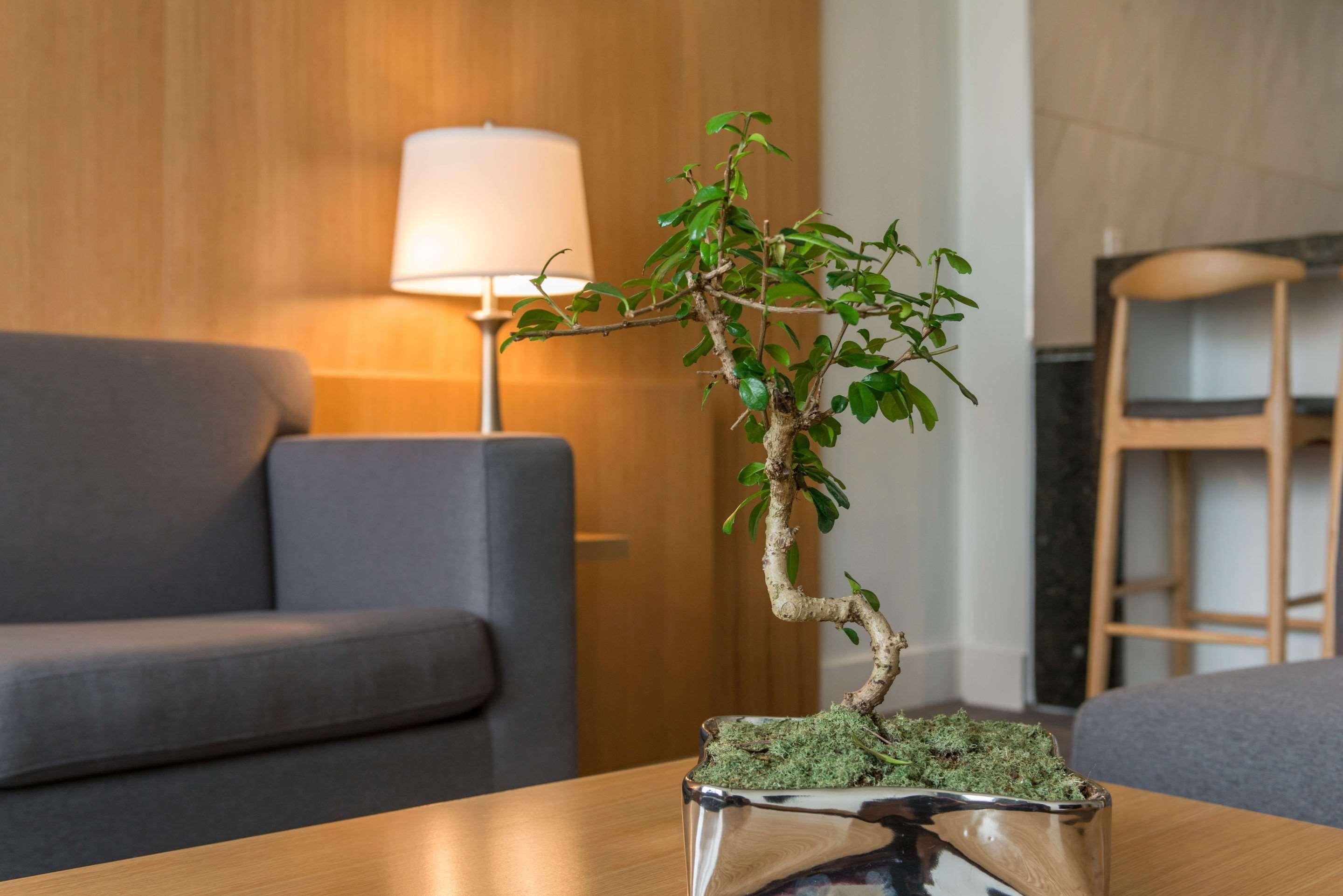 The West Wing Boutique Hotel 坦帕 外观 照片